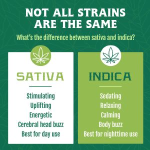 Cannabis Strain IG Post