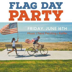 Flag Day Party Instagram Post