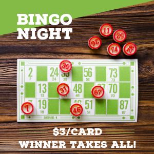 Bingo Night Instagram Post