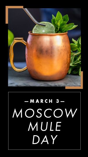 Moscow Mule Instagram Story