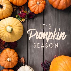 Pumpkin Season Instagram Post