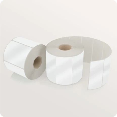 cardstock